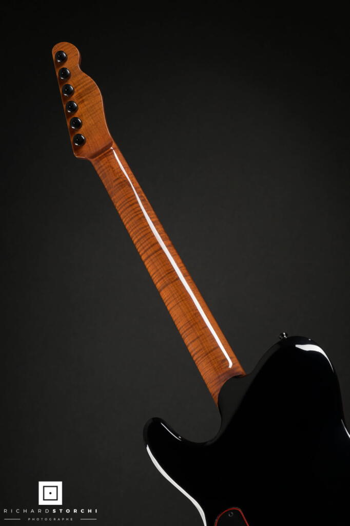 guitare saillant mgc (2)